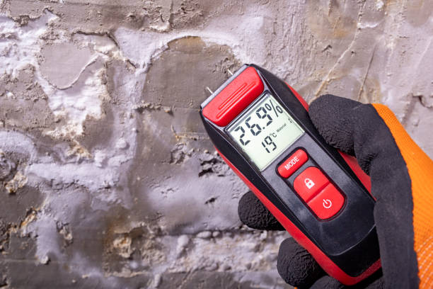 Trusted East San Gabriel, CA Mold Remediation Experts